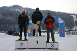 Lenk 2012 SM
